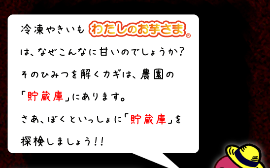 「わたしのお芋さま」はどうしてこんなに甘いのでしょうか……？そのカギは、ズバリ「貯蔵庫」にあります。さあ、ばくといっしょに、吉川農園の貯蔵庫を探検しましょう！