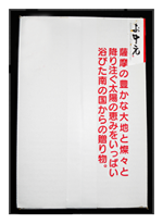 お中元用「わたしのお芋さま」５袋入りパック 箱