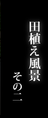 田植え風景 その二