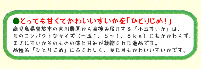 ●とっても甘くてかわいいすいかを「ひとりじめ！」鹿児島県曽於市の吉川農園から直接お届けする「小玉すいか」は、そのコンパクトなサイズ（一玉１．５～１．８ｋｇ）にもかかわらず、まさにすいかそのものの味と甘みが凝縮された逸品です。品種名「ひとりじめ」にふさわしく、見た目もかわいいすいかです。