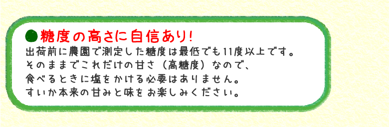 ●糖度の高さに自信あり！出荷前に農園で測定した糖度は最低でも11度以上です。そのままでこれだけの甘さ（高糖度）なので、食べるときに塩をかける必要はありません。すいか本来の甘みと味をお楽しみください。