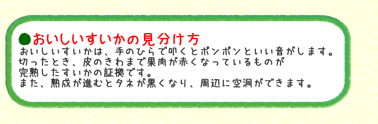 ◆おいしいすいかの見分け方　おいしいすいかは、手のひらで叩くとポンポンといい音がします。切ったとき、皮のきわまで果肉が赤くなっているものが完熟したすいかの証拠です。また、熟成が進むとタネが黒くなり、周辺に空洞ができます。