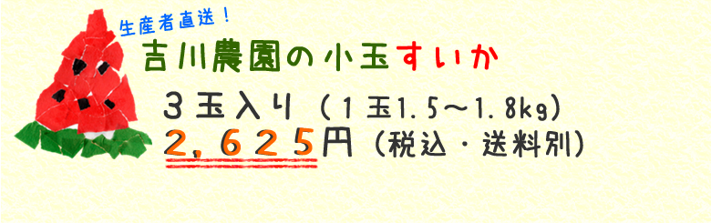 吉川農園の小玉すいか ３玉入り（１玉1.5～1.8kg） 2,625円（税込・送料別）