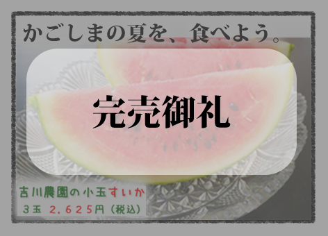 吉川農園の小玉すいか 完売御礼